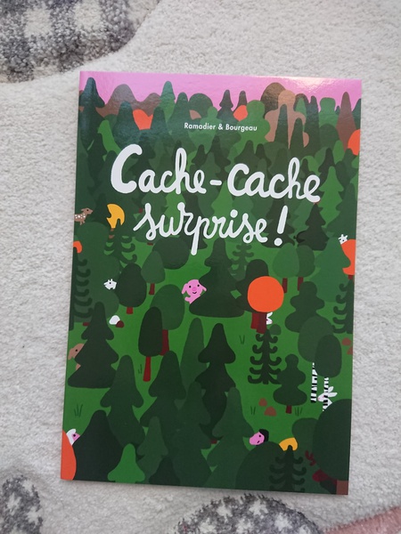 Cache-cache Surprise !